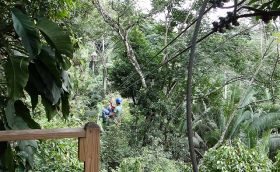 ziplining through Belizean jungle – Best Places In The World To Retire – International Living